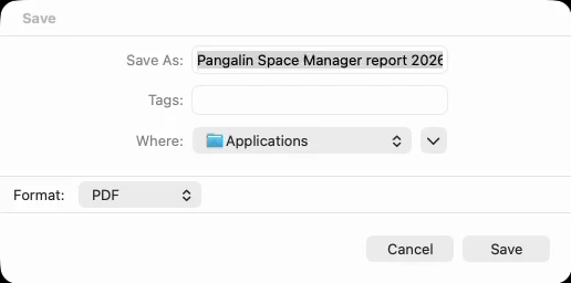 The Save dialog for the clean-up report: the file named Pangalin Space Manager report with today's date, the folder to save it in, and Format set to PDF.