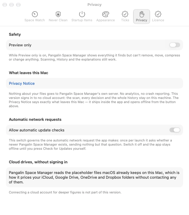 Pangalin Space Manager Settings, Privacy tab: the Preview only switch under Safety, the Privacy Notice, and the Allow automatic update checks switch under Automatic network requests.